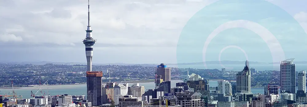 Auckland News – August 2021