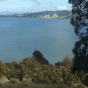Upper North