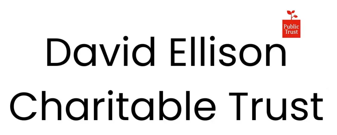 David ellison