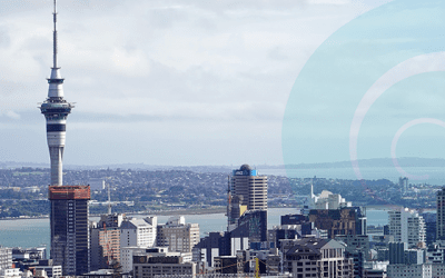 Auckland News – August 2021
