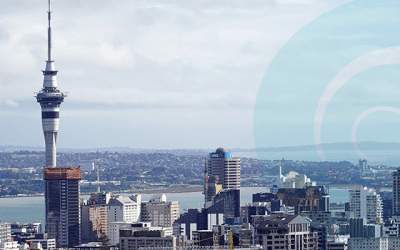 September 2023 Caregiver News: Auckland