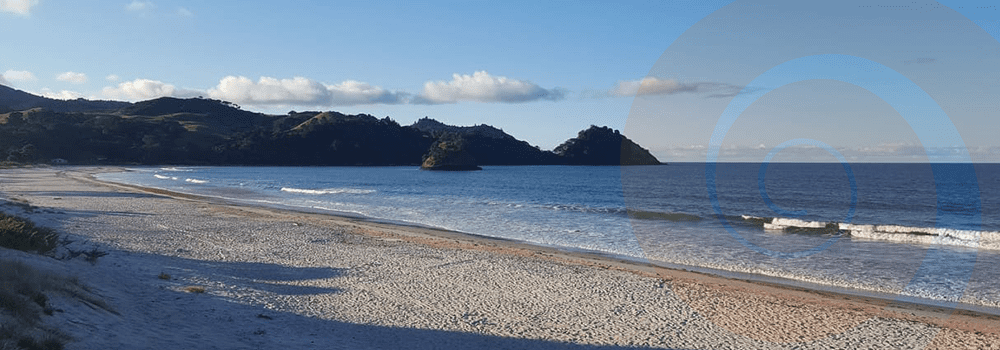 Auckland South News – August 2021