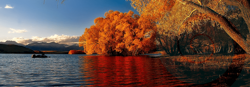 Canterbury News – August 2020