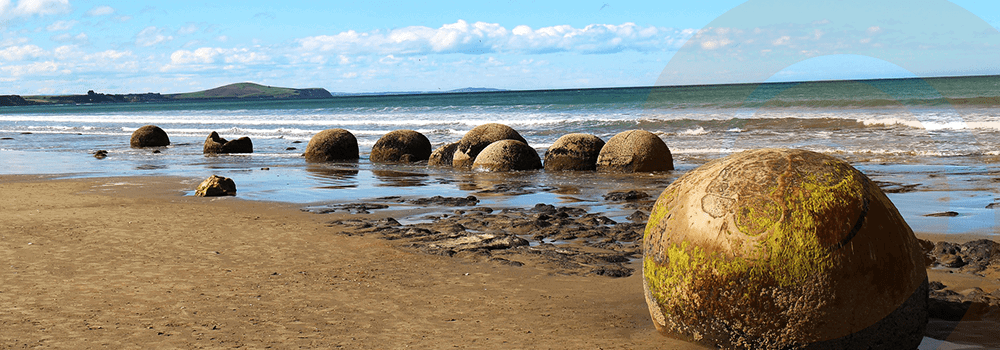 Otago News – December 2020