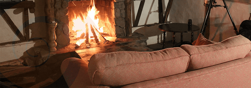 CEO Message July 2024