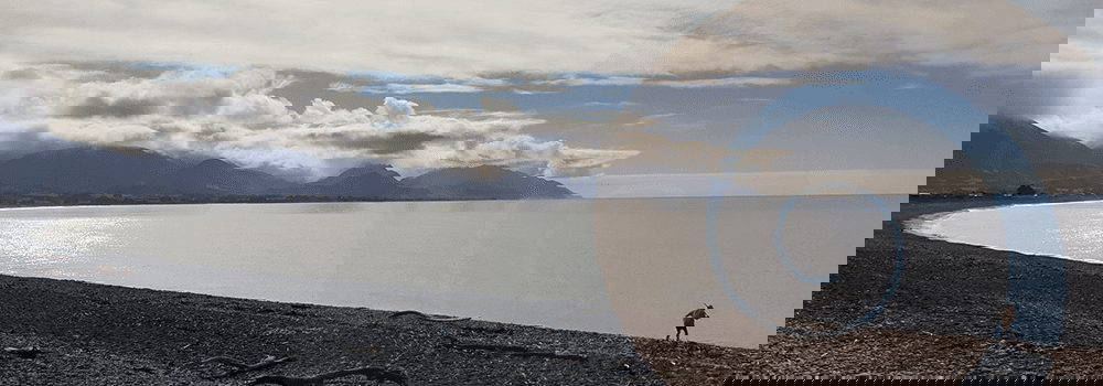 Canterbury News – August 2021