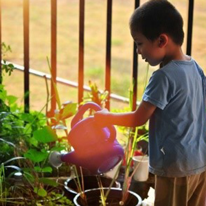 boy gardening