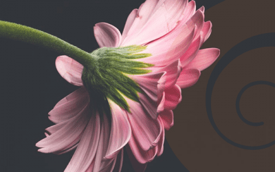 Remembering Billie Galloway