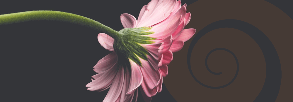 Remembering Billie Galloway