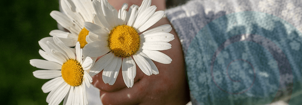 Thank You to our Volunteers