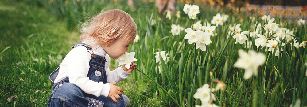 Auckland News – December 2021