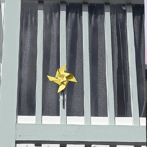 Daffodil
