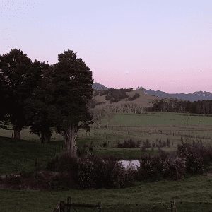 Morning View Pio Matariki Event