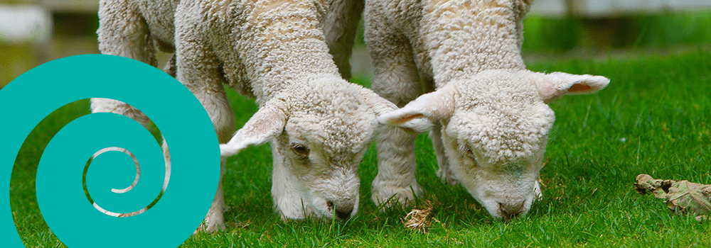 Canterbury News – December 2021