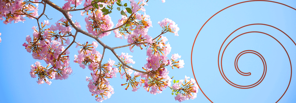 Upper South – December 2021