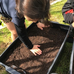 Tamariki Gardening 1