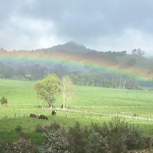 Rainbow in field Leanne and the Voyce Team
