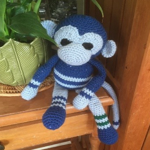 Monkey Pio Matariki Event