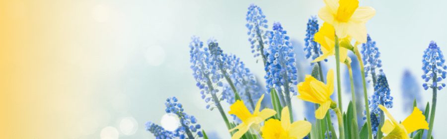 CEO Message September 2024