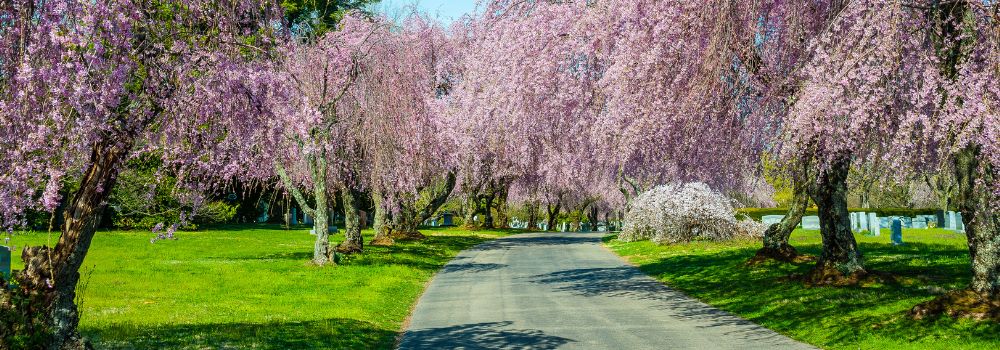 CEO Message October 2024