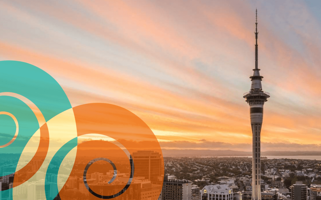 November 2024 Auckland Caregiver News