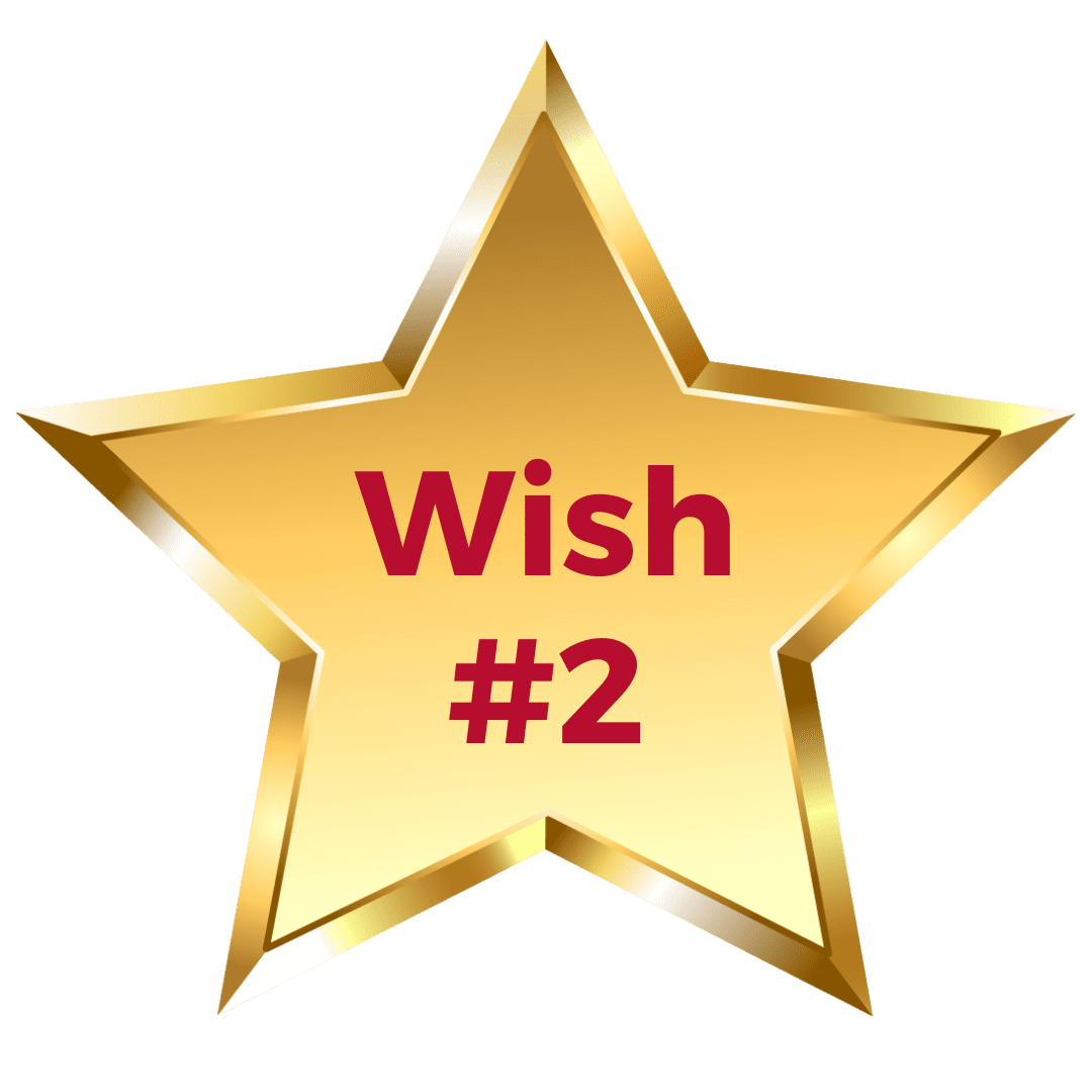 wish 2
