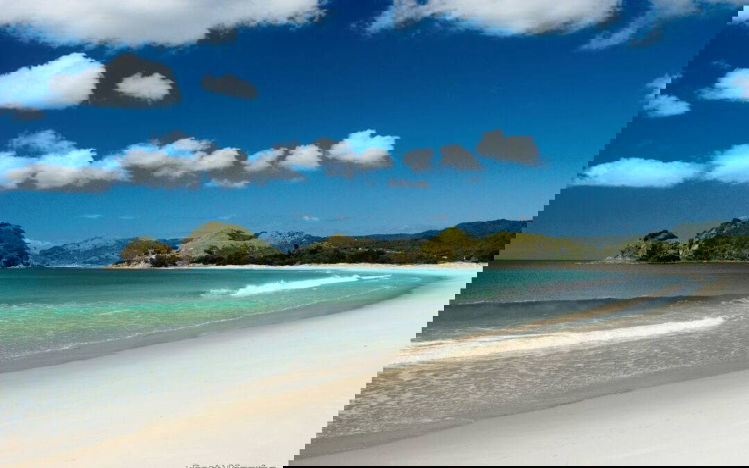 CEO Message February 2025