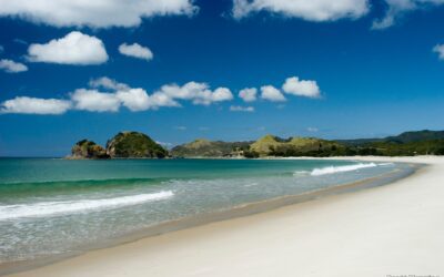 CEO Message February 2025