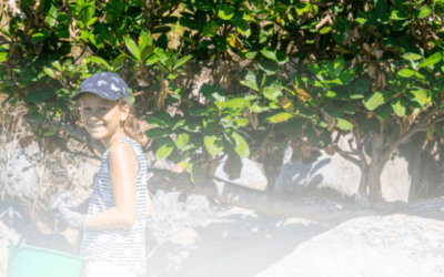 Update from the Ombudsman