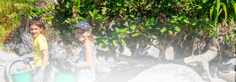 Update from the Ombudsman