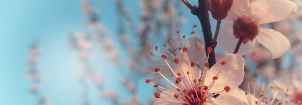 CEO Message August 2025