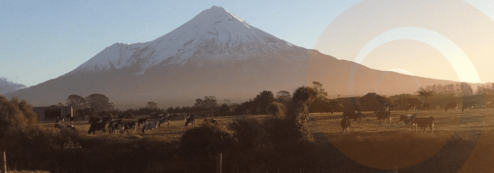 August 2024 North West Caregiver News