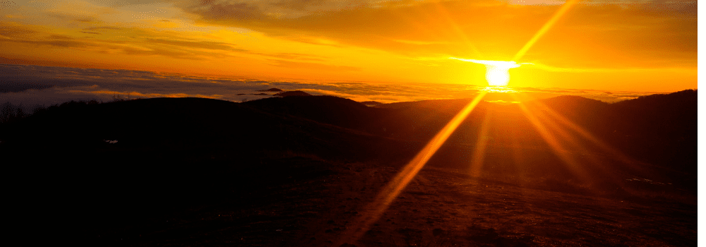 CEO Message November 2024