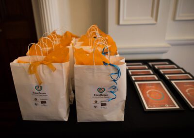 Excellence in Foster Care Awards