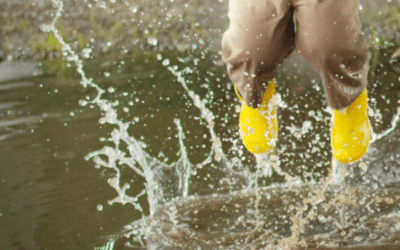 CEO Message May 2025