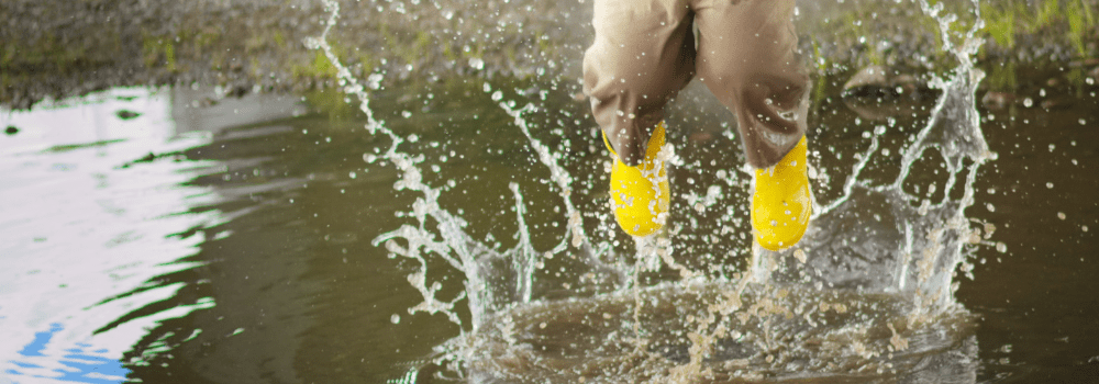 CEO Message May 2025