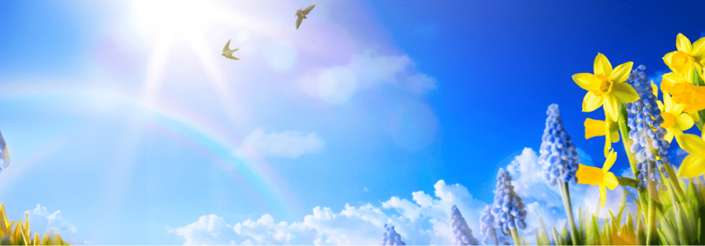 CEO Message November 2025