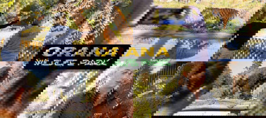 Caring Families Aotearoa