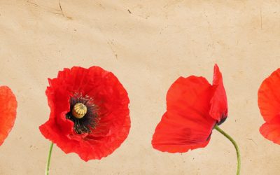 An ANZAC Day story