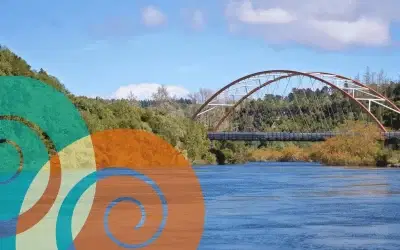 August 2026 Auckland South-Waikato Caregiver News